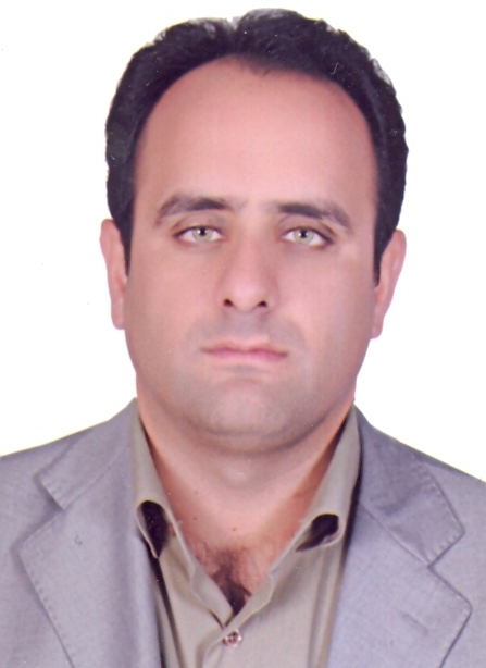 Majid Soleimanidamaneh